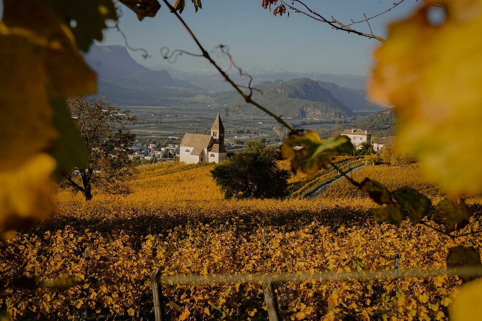 Weingut Gottardi Mazzon