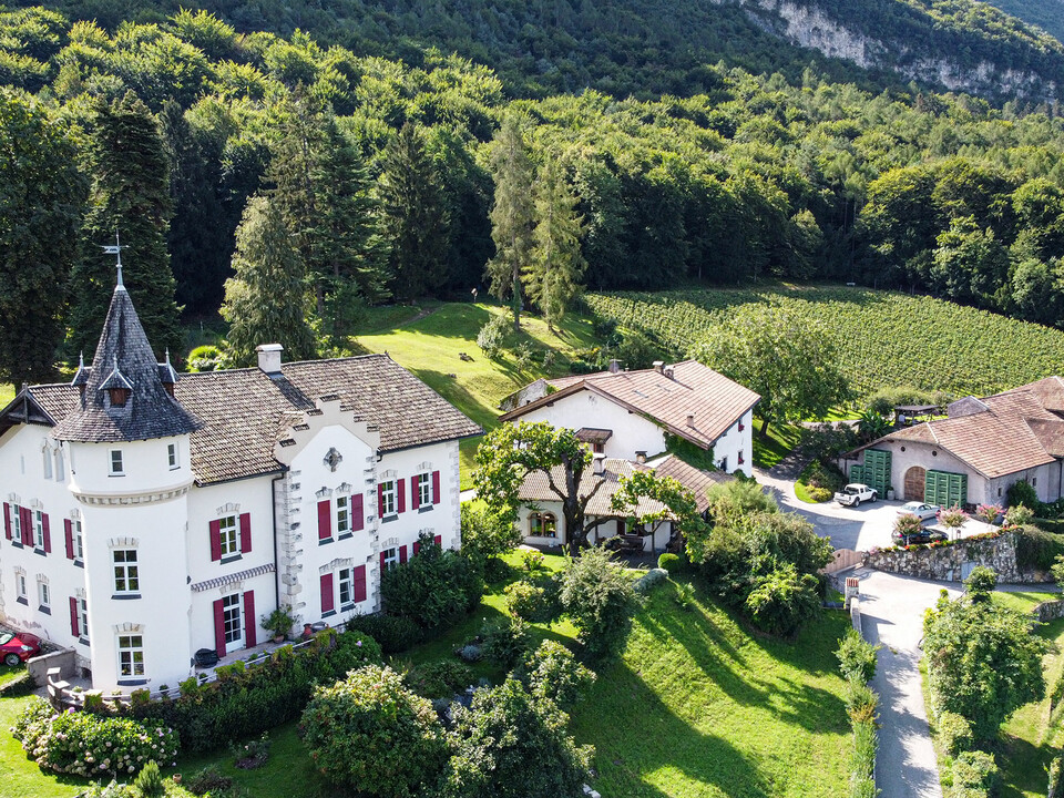 l'azienda vinicola - Weingut Gottardi Mazzon