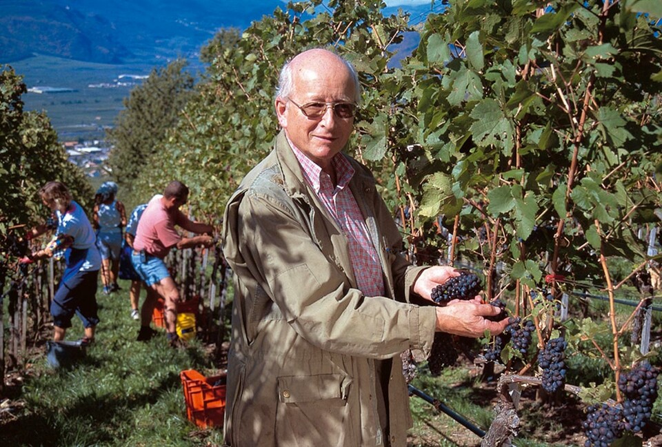 Bruno Gottardi - Weingut Gottardi Mazzon