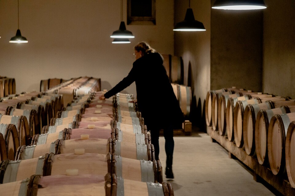 Mit Händen, Holz und Schwerkraft - Weingut Gottardi Mazzon