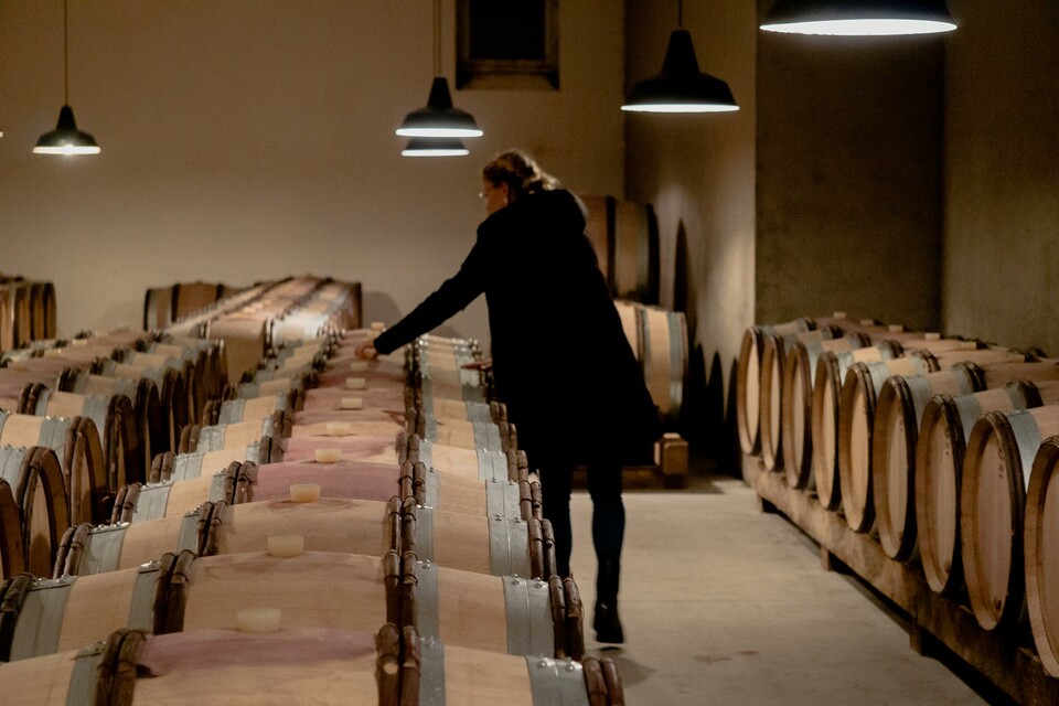 Con mani, legno e forza di gravitá - Weingut Gottardi Mazzon