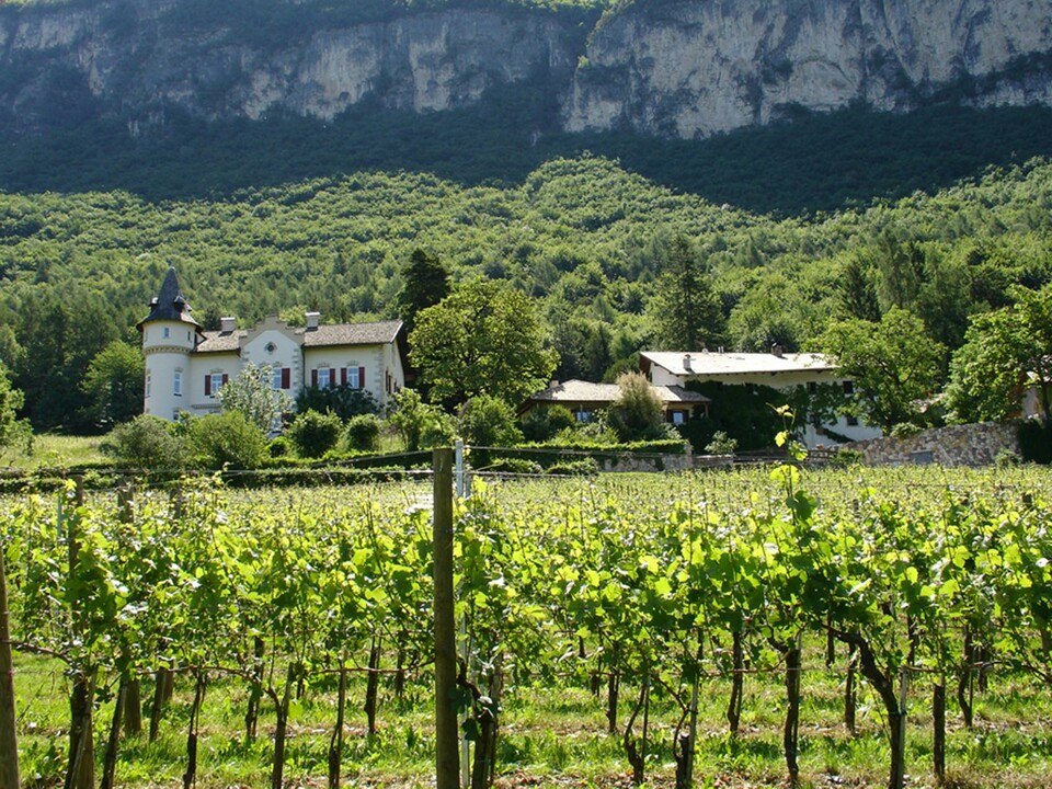 Weingut Gottardi Mazzon