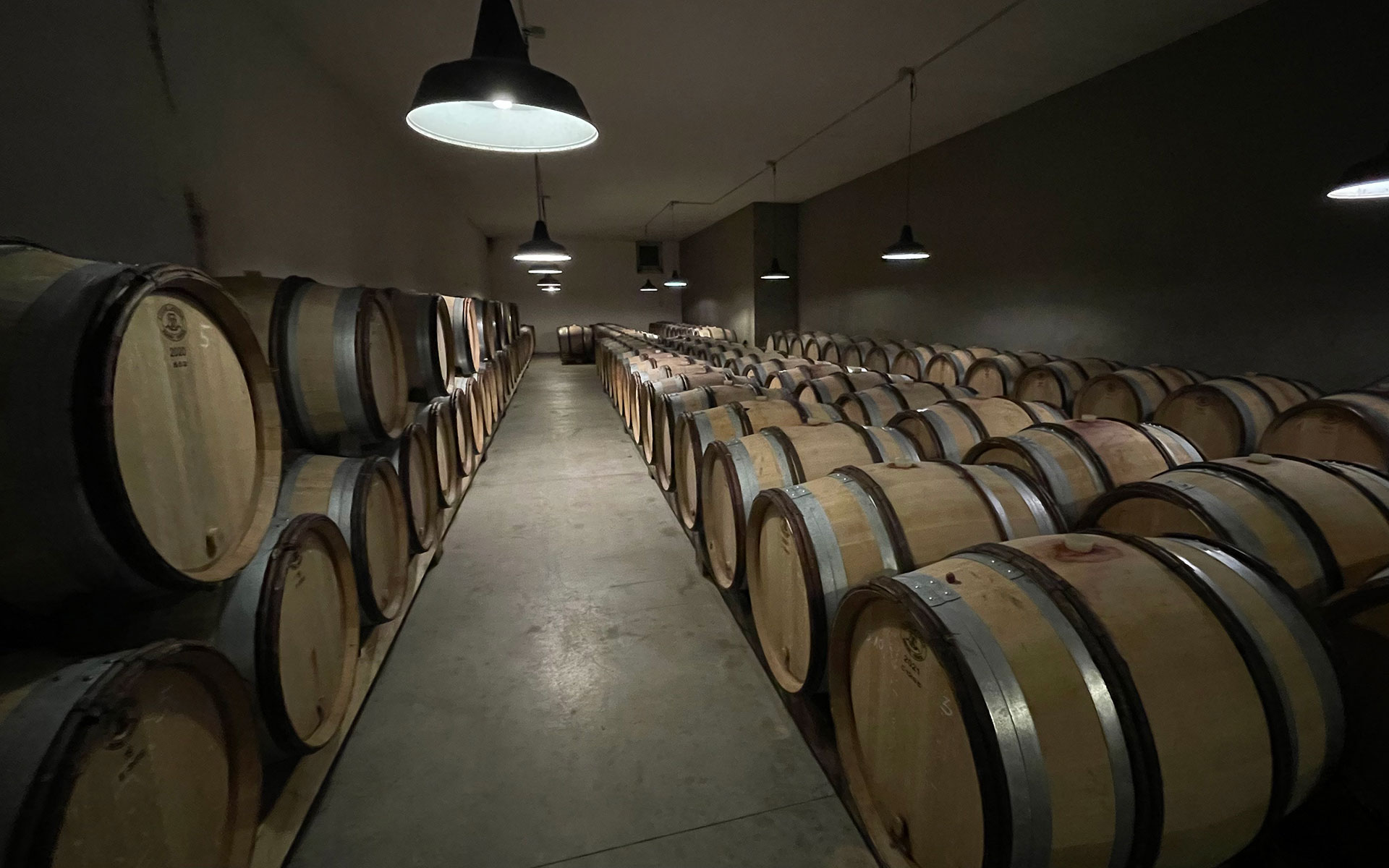 Der Keller - Weingut Gottardi Mazzon